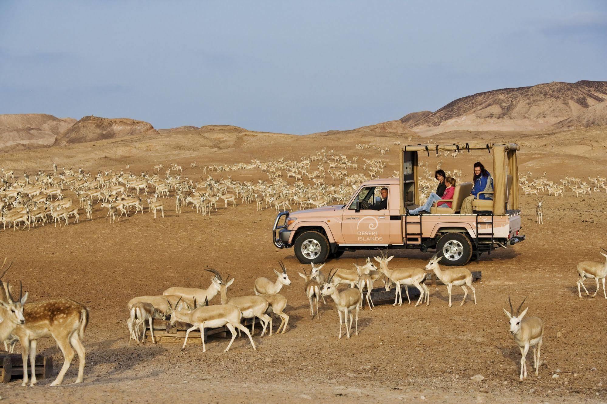 Anantara Sir Bani Yas Island Al Sahel Villas Zahr Extérieur photo