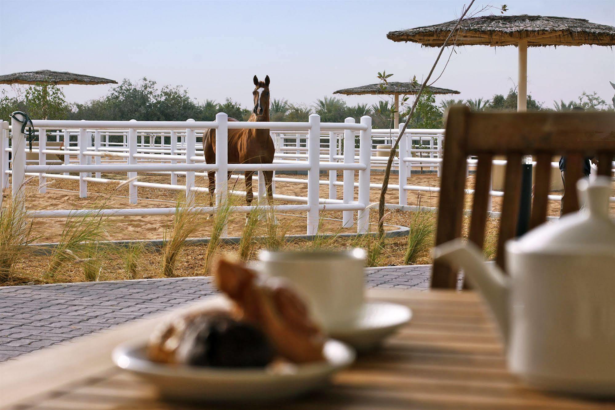 Anantara Sir Bani Yas Island Al Sahel Villas Zahr Extérieur photo