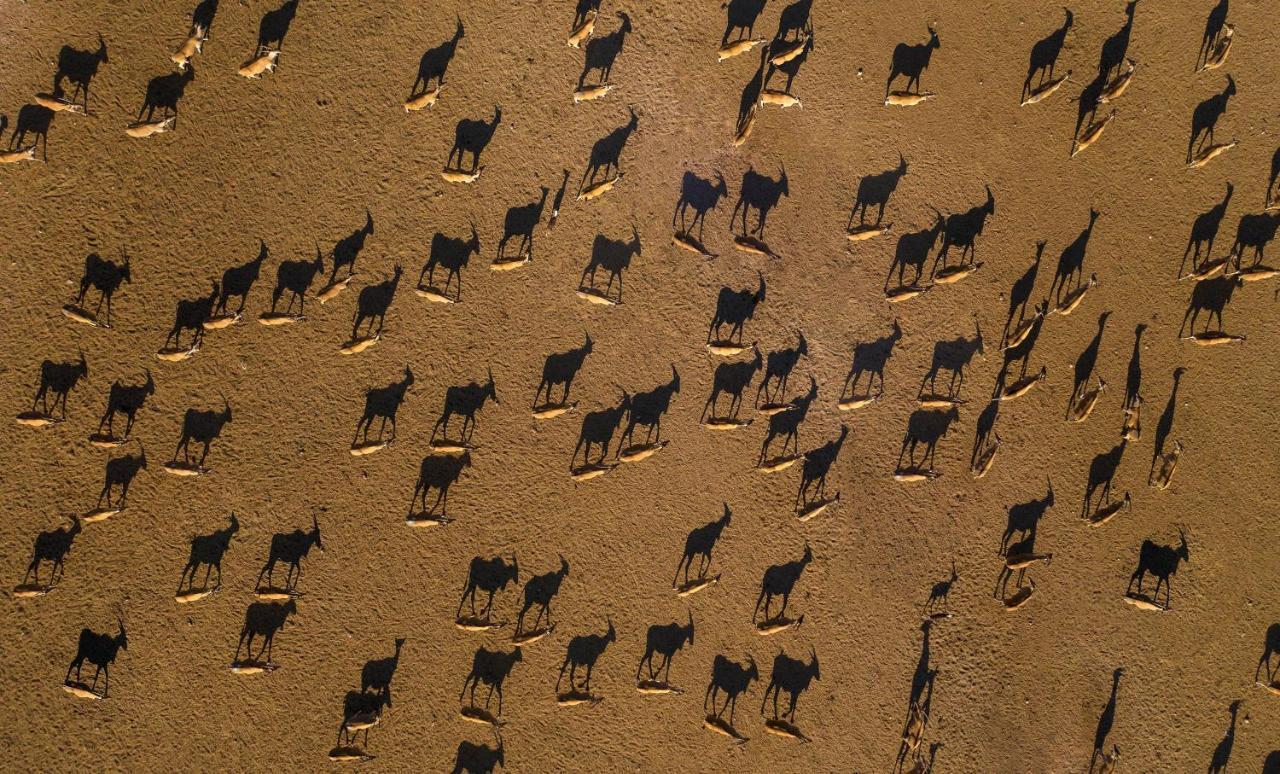 Anantara Sir Bani Yas Island Al Sahel Villas Zahr Extérieur photo
